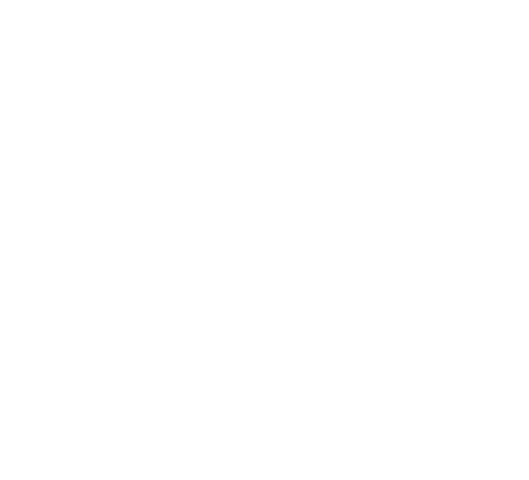 sea turtle